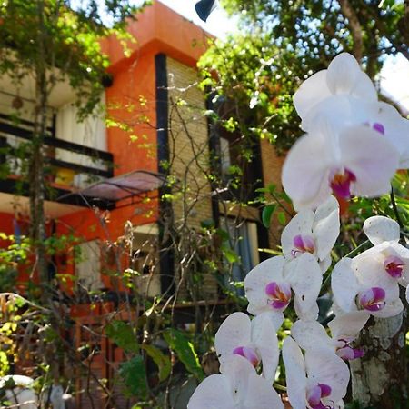 Pousada Casa Di Gaya Guesthouse Cabo Frio Exterior foto